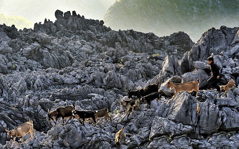 Dong Van Karst Plateau Geopark 